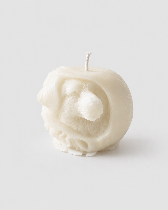 Grey Exim sculpted dog French Vanilla candle front view